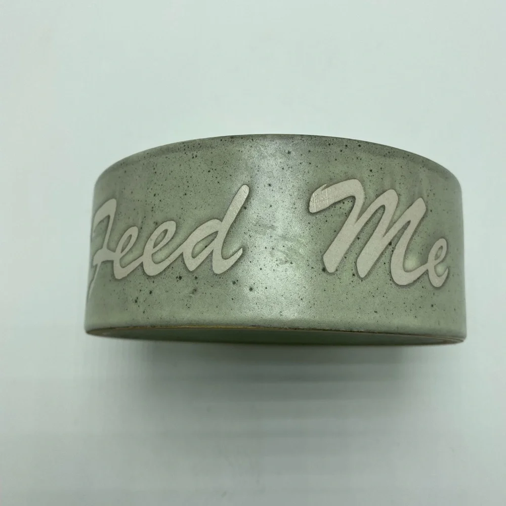 Signature Green Feed Me Pet Bowl